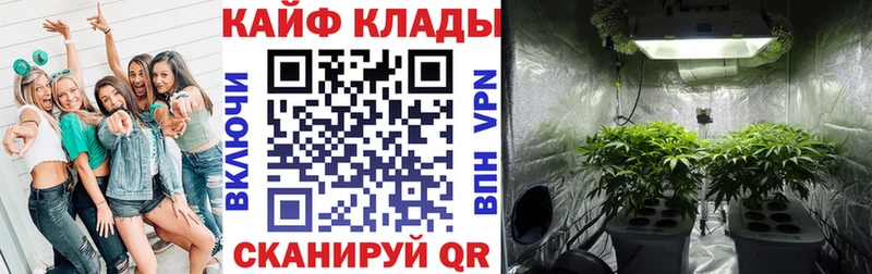 Купить закладку Cocaine  APVP  Мефедрон  ГАШ  МАРИХУАНА  Евпатория