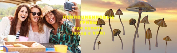 бошки Кулебаки